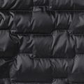 Jack Wolfskin men's down jacket Passamani Down phantom 20