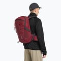 Hiking backpack Jack Wolfskin Cyrox Shape 20 l deep ruby 5