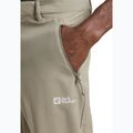 Men's trekking trousers Jack Wolfskin Pico Trail stone 4