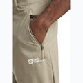 Men's trekking trousers Jack Wolfskin Pico Trail Zip Off stone 4