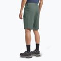 Jack Wolfskin men's trekking shorts Hikeout slate green 3