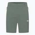 Jack Wolfskin men's trekking shorts Hikeout slate green 7