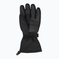 Ski gloves Jack Wolfskin Ins Ski black 3
