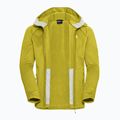 Men's trekking sweatshirt Jack Wolfskin Peak District Hooded Full Zip chartreuse 9