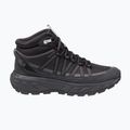 Men's hiking boots Jack Wolfskin Wild Hike Texapore Mid black