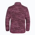 Women's trekking sweatshirt Jack Wolfskin Big Sky Half Zip raisin 8
