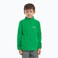 Jack Wolfskin Taunus children's fleece sweatshirt mystic green 7
