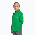 Jack Wolfskin Taunus children's fleece sweatshirt mystic green 10