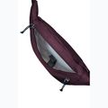 Jack Wolfskin Konya Hipbag 2 l amaranth waist pouch 4