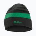 Children's winter hat Jack Wolfskin Stripy Knit slate green/mystic