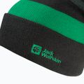 Children's winter hat Jack Wolfskin Stripy Knit slate green/mystic 3