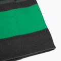 Children's winter hat Jack Wolfskin Stripy Knit slate green/mystic 6