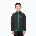 Children's 3in1 jacket Jack Wolfskin Iceland 3IN1 mystic green 15