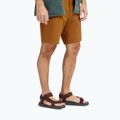 Men's sandals Jack Wolfskin Taiga dark mahogany 3