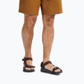 Men's sandals Jack Wolfskin Ridge dark mahogany 7
