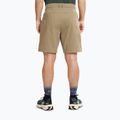 Men's trekking shorts Jack Wolfskin Pico hazel wood 3