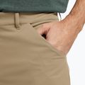 Men's trekking shorts Jack Wolfskin Pico hazel wood 4