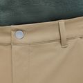 Men's trekking shorts Jack Wolfskin Pico hazel wood 5