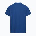 Men's T-shirt Jack Wolfskin Essential blue orchid 6