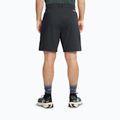 Men's trekking shorts Jack Wolfskin Pico phantom 3