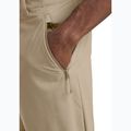 Men's trekking trousers Jack Wolfskin Pico Trail Zip Off hazel wood 5