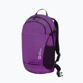Backpack Jack Wolfskin Velocity 20 l freesia 4