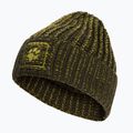Winter hat Jack Wolfskin Badge Beanie obsidian moss