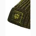 Winter hat Jack Wolfskin Badge Beanie obsidian moss 3