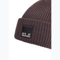 Winter hat Jack Wolfskin Pergamon Beanie sheer plum 3