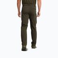 Men's trekking trousers Jack Wolfskin Activate Flex obsidian moss 2