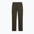 Men's trekking trousers Jack Wolfskin Activate Flex obsidian moss 7