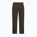 Men's trekking trousers Jack Wolfskin Activate Flex obsidian moss 8