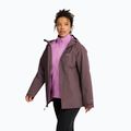 Women's 3-in-1 jacket Jack Wolfskin Moonrise 2 3IN1 sheer plum 4