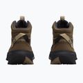 Women's hiking boots Jack Wolfskin Wild Hike Texapore Mid fawn 3