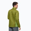 Jack Wolfskin men's Routeburn down jacket green 1205415_4131 2