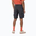 Jack Wolfskin men's trekking shorts Canyon Cargo grey 1504201_6168 2