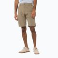 Jack Wolfskin Desert Valley men's trekking shorts brown 1504741_5605