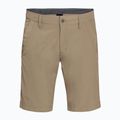 Jack Wolfskin Desert Valley men's trekking shorts brown 1504741_5605 4