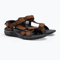 Jack Wolfskin Lakewood Ride men's trekking sandals brown 4019021_5311 4