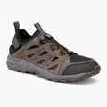 Jack Wolfskin men's trekking boots Woodland 2 Hybrid Low brown 4051301