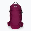 Jack Wolfskin Crosstrail ST 22 l hiking backpack maroon 2009562_2222 2