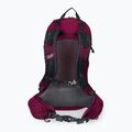 Jack Wolfskin Crosstrail ST 22 l hiking backpack maroon 2009562_2222 3