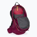 Jack Wolfskin Crosstrail ST 22 l hiking backpack maroon 2009562_2222 5