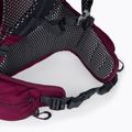 Jack Wolfskin Crosstrail ST 22 l hiking backpack maroon 2009562_2222 6