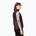 Jack Wolfskin Routeburn Pro Ins women's hiking sleeveless purple 1207201_2042_005 2