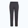 Men's softshell pants Jack Wolfskin Activate XT phantom 6