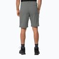 Jack Wolfskin men's trekking shorts Glastal green 1508231 2