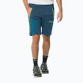 Men's softshell trousersJack Wolfskin Glastal Zip Away navy blue 1508301 3