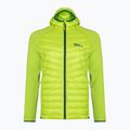 Jack Wolfskin men's Routeburn Pro Hybrid jacket green 1710511 5