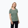 Women's trekking t-shirt Jack Wolfskin Tech green 1807122